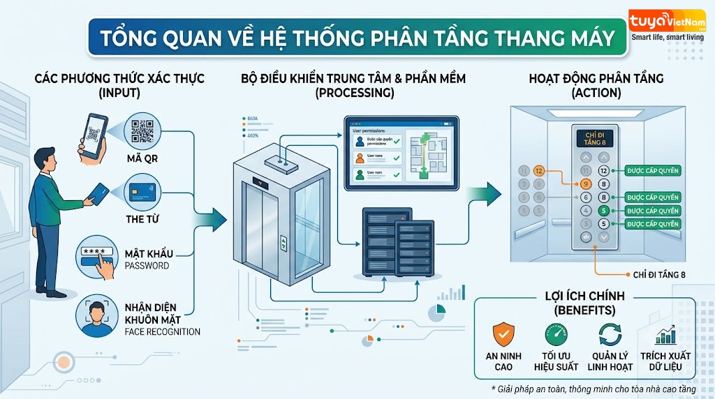 Tong quan ve he thong phan tang cho thang may
